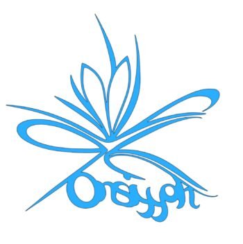 onsiyyah.jemareoabnerbizdev.com